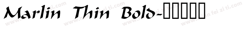 Marlin Thin Bold字体转换